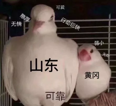 23.png